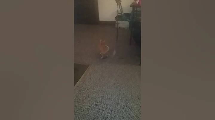 Rascal string time