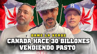 CANADÁ HACE 30 BILLONES VENDIENDO PASTO