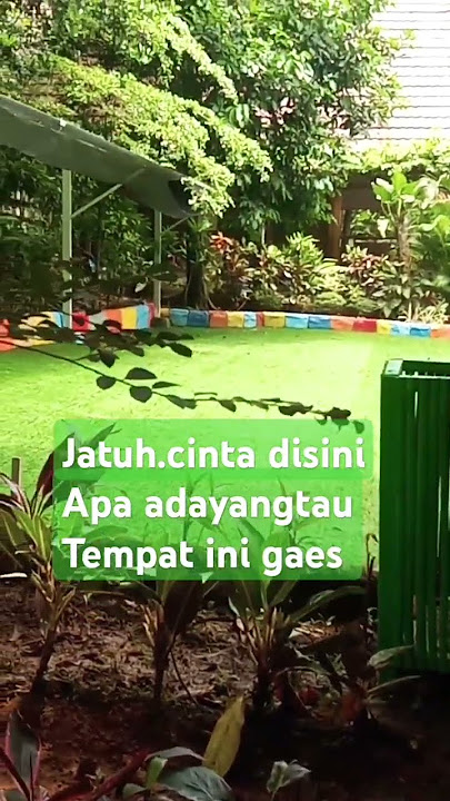 #music jatuh cinta Rhoma irama shorts video