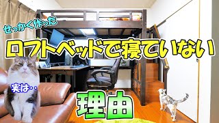 DIYで自作したロフトベッドのその後の使用事情について