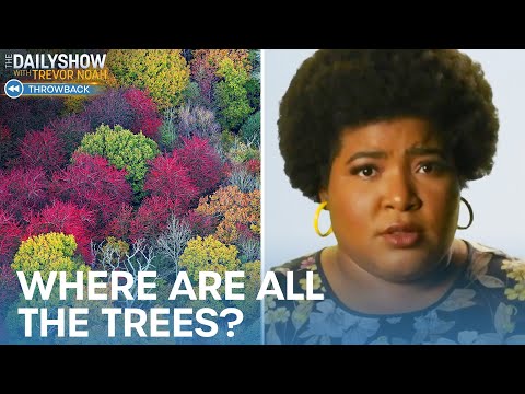 Dul-Sayin’ - Why Low-Income Neighborhoods Have Fewer Trees | The Daily Show