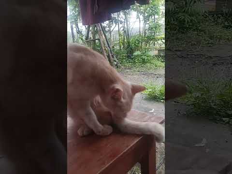 Goo Bak-Gi begint het nieuwe jaar met financiële impulsen: 