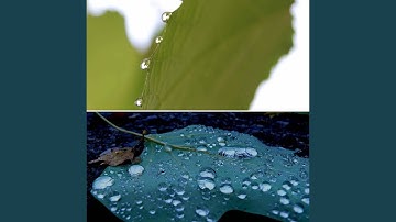 Dashing Backdrops for Resting Days