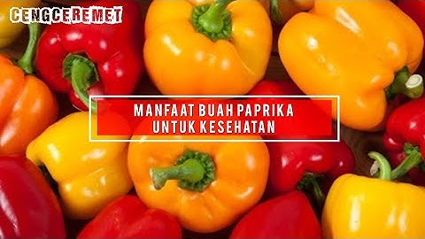 MANFAAT BUAH PAPRIKA UNTUK KESEHATAN   #manfaatpaprika #manfaatbuah #sehat #manfaatsayur