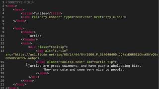 Create Your Own Tooltip (Web Development/Design - Unit 5 Lesson 16.7 - HTML Coding) Net Worth