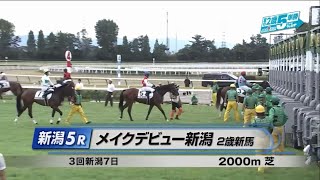 【2歳新馬/キャントウェイト】メイクデビュー新潟［2023.9.2 新潟第5R/2000m 芝］