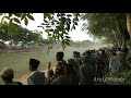 Maaf TELAT Ngapload. Kerapan sapi full final HUT GAGAK RIMANG 2020. Budaya kita