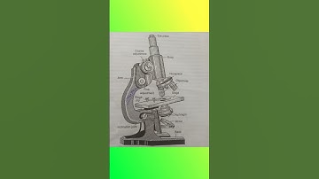 Parts of a simple microscope