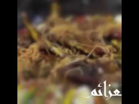 هذه الدنيا لا تدوم لأحد 