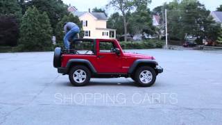 Shopping Carts Teaser #1