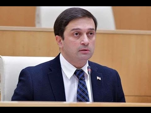 პარტია \"მოქალაქეები\" ომბუდსმენობის კანდიდატად ალევან იოსელიანს წარადგენს