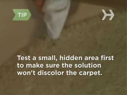 How to Remove Coffee Stains from Your Carpet