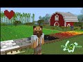 Mega Farm Face Lift | The Lost Boyz Ep4