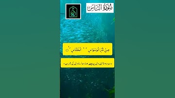 Surat An-Nas (The Mankind) | Mishary Rashid Alafasymرmlllعفاسي | سورة الناس