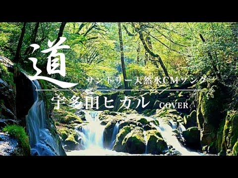 サントリー天然水cmソング 道 Full Ver 宇多田ヒカル Cover 歌詞付き ニューアルバム Fantome 収録曲 01 By デヴィッド健太 Youtube