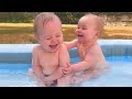 Best Videos Of Funny Twin Babies Compilation - Funny Baby Videos