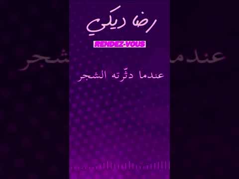 رضا الديكي رحمه الله