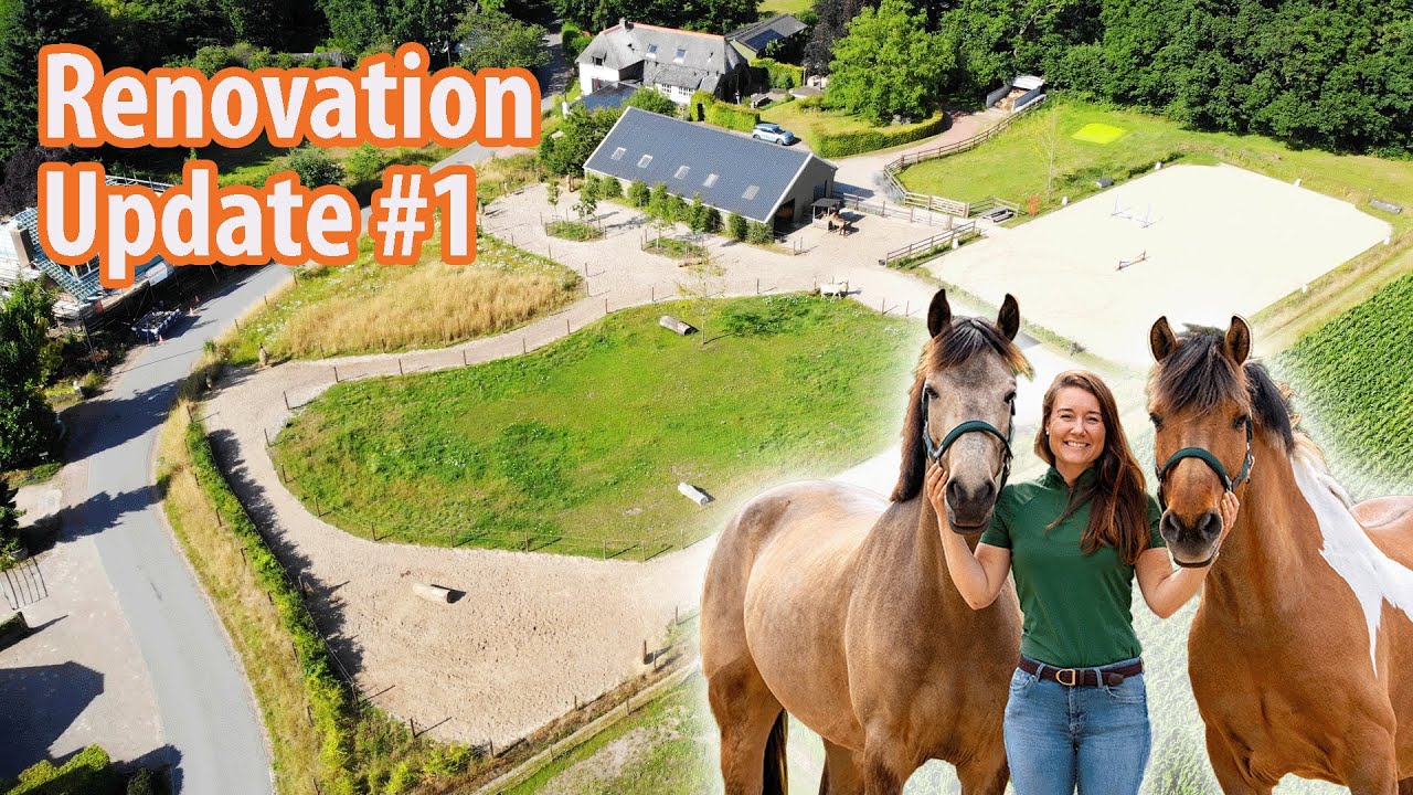 Building A Paddock Our First Renovation Update: Building a Paddock Paradise for our Horses ...