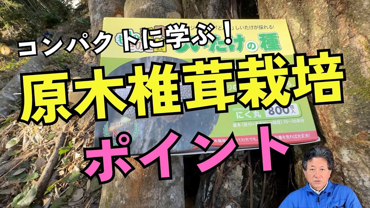 コンパクトに学ぶ】原木椎茸栽培のポイント【MAEDA FARM】#sdgs ＃家庭