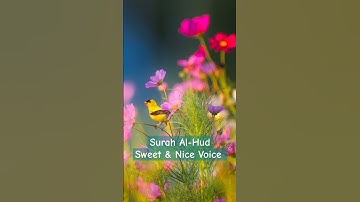 অত্যন্ত বিনয়ী কন্ঠে তিলাওয়াত | সূরা আল-হুদ | Surah Al-Hud | সাড়া জাগানো সুরে তিলাওয়াত | سورة هود