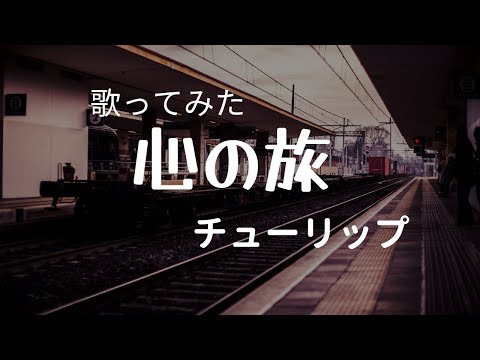 歌ってみた【心の旅】チューリップ