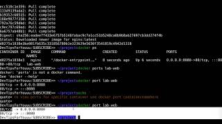 Full Docker Port Mapping for Beginners: Run Nginx, Check Ports, Stop, and Delete Containers News