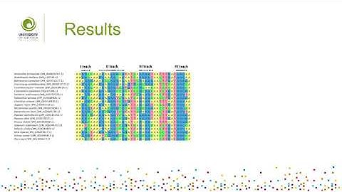 G-Quadruplex in Gene Encoding Large Subunit of Plant RNA Polymerase II: A Billion-Year-Old Story