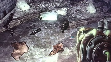Headbanging Skeleton in Fallout 3