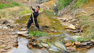 Dwarf Family Catches Fish by Crushing Medicinal Leaves | Effective Fishing Methods | Primitive Life