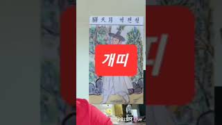 개띠 오늘의운세 2024년6월30일 일요일 운세 총운