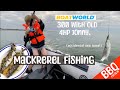 Boatworld Mackerel Fishing UK