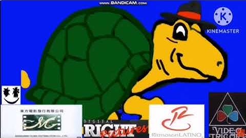 Everything has fallen into Terry the Turtle add round 7