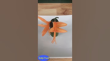 #shorts CẮT TỈA CON CHUỒN CHUỒN TỪ CÀ RỐT | HOW TO MAKE DRAGONFLY WITH CARROT | BEP HUE