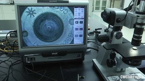 See the Health Ranger