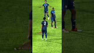 Playful Dog Darts Onto Soccer Field During Match