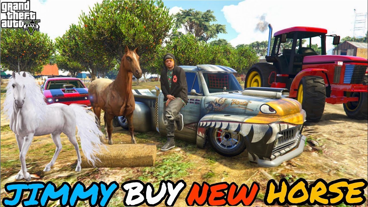 JIMMY BUY NEW HORSE GTA 5 YouTube