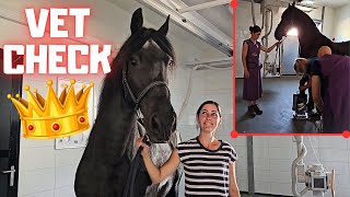 QueenUniek's vet check. Hopefully she's doing well... | Friesian Horses