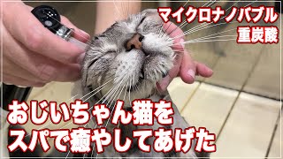 【キャットスパ】16歳のおじいちゃん猫をスパで癒やしてあげた【重炭酸・マイクロナノバブル】