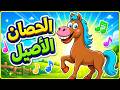 اغنية انا الحصان والزرافه والفيل وقفز الارنب ومجموعة من ضفدوع للأطفال