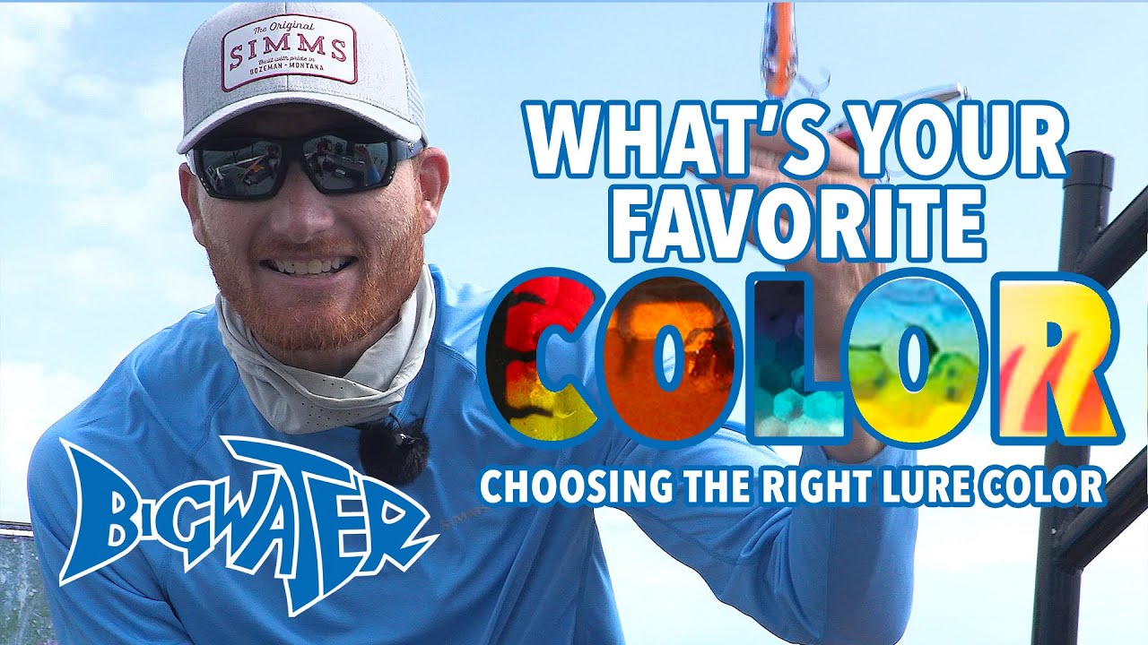 Choosing The Best Color For Walleye Fishing Lures - Why Bait Color