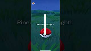 I caught Pineco l Pokémon GO l #pokemongo  #45
