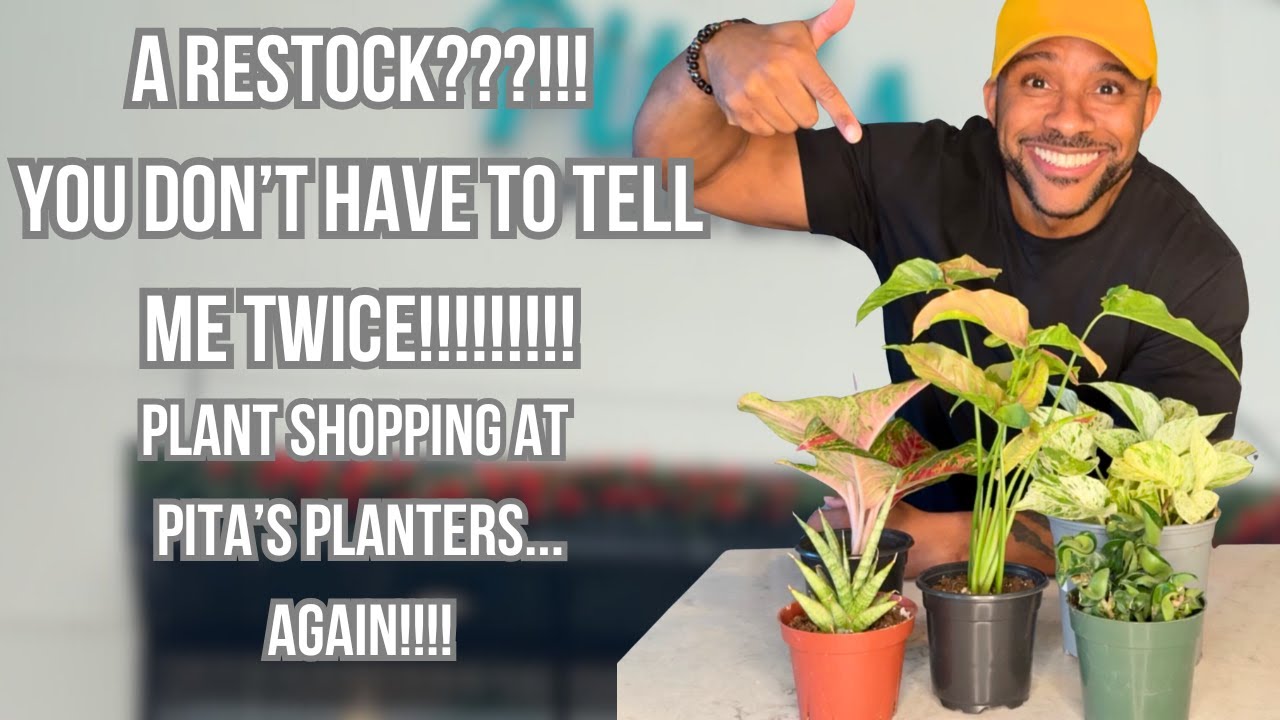 Pita's Planters Plant Shop Tour: Rare Plants, Hybrids, Variegated Plants, Great Prices and More!!!!!