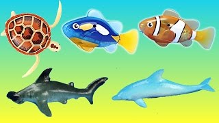 Robotic Fish Turtle Sea Animals Educational Toys │ Wild Animals Surprise Eggs in the Water screenshot 3