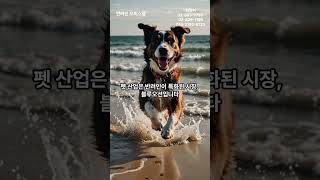 반려인 오피스텔#펫#강아지 #위드펫 #신림역 #신림역 도보 1분#펫 프렌들리 오피스텔#펫 오피스텔#펫 하우스#반려인 교육#반려동물 교육#유튜브 #케이뷰타워#위드펫타워#펫시터