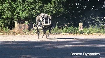 The WildCat of Angmar