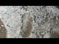 من اسهل الكنوز والدفائن القدم اليمنى من اسهل الكنوز والدفائن القدم اليمنى