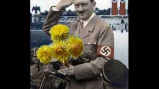 Watch Anal Cunt Hitler Was A Sensitive Man video