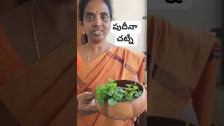 More Easy and More healthy Pudina Chutny recipe #healthyversion #pudinachutney #telugucooking #bome