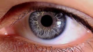Глаз во всей красе! 3D-видео строения глаза, зрение, как видит человек!