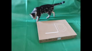 Acer ConceptD 5 CN516 72G - unboxing and first look